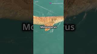 Megalodon vs Mosasaurus Who Wins [upl. by Sosanna]