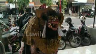 WADUHH BARONG BANGKUNG CAPUNG GANTUNG MASUK TOKO [upl. by Giusto]