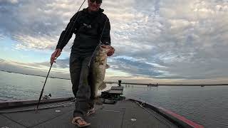 Bassmaster Open Lake Okeechobee Big Day 2 Comeback [upl. by Marley]