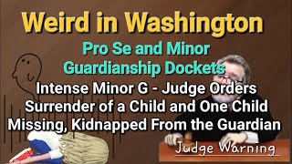 Intense Docket Weird Washington  Pro Se  Guardianship  Judge Warning whereisemmaryan [upl. by Hook612]