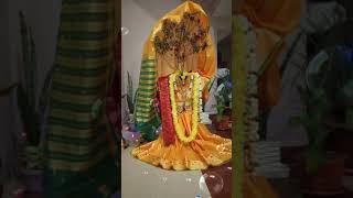 Tulsi mata  sursadhna04  tulsi rani ka vivah ytshort viralshort [upl. by Enuj634]