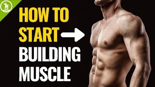 How To Start Building Muscle For Beginners [upl. by Dearborn]