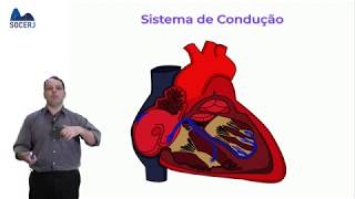 Curso Básico de ECG  Aula 01 Bases da Eletrocardiografia [upl. by Wakeen191]