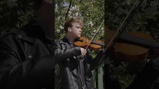 perfect  zotov violin cover [upl. by Twum228]