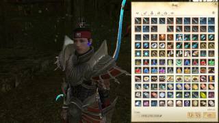 Archeage veroe weapon skins and icefall dynasty robes [upl. by Gader]