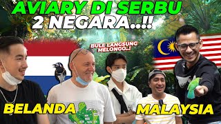 LUAR BIASA SETELAH JEPANG AVIARY GW TERKENAL DI BELANDA DAN MALAYSIA❗❗BULE TERHARU BANGET [upl. by Yekciv]