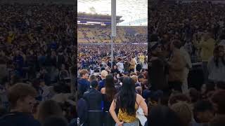 Football game Cal vs Stanford ucberkeley Stanford berkeley collegefootball oski calbears [upl. by Beaufert]