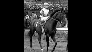 Vince Bracciale Jr shares memories of riding Ruffian in 1972 Astoria Stakes amp Spinaway [upl. by Dadirac]