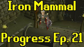 Oldschool Runescape  2007 Iron Man Progress Ep 21  Iron Mammal [upl. by Ainsley]