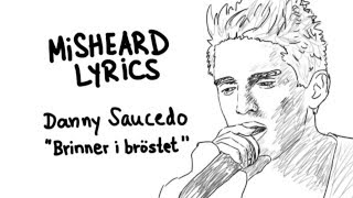 Misheard Lyrics  quotDanny Saucedoquot [upl. by Loftus363]