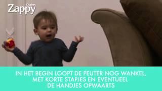 Hoe stimuleer je stappen bij je baby [upl. by Sandra102]