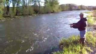 Trout fishing on the Colorado River [upl. by Annahavas]