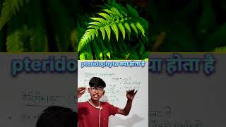 What is pteridophyta  shorts shortvideo shortsfeed viralvideo ytshorts biology [upl. by Burrton675]