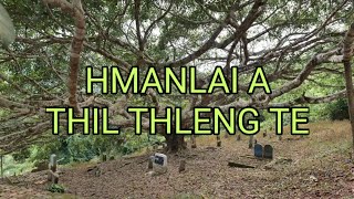 Vairengte a buhfai phurh tumte thiltawn mak chu [upl. by Ahseyi]