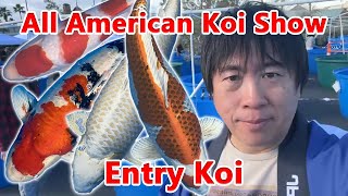 【Entry koi】The AllAmerican Koi Show in Las Vegas 2024 [upl. by Aitnuahs]