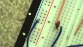 Simple LM386 Amplifier Tutorial Breadboard [upl. by Enamrej463]