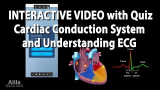 NEW INTERACTIVE Animation Cardiac Conduction System and Understanding ECG EKG [upl. by Anitnas]