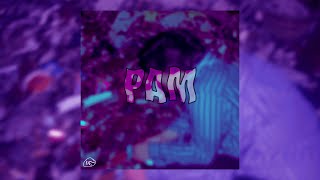 PAM 2022 Lyric Video [upl. by Iadrahc176]