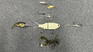 Top 5 Baits For December Bass Fishing [upl. by Anifares567]