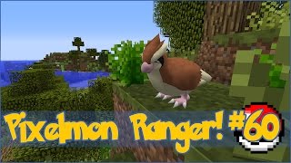 Pixelmon Ranger Pidgey Twister Battle  Episode 60 [upl. by Ardekahs]