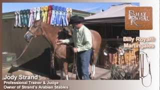 Jody Strand on Schneiders Western Work Saddles and Training Tack [upl. by Ensoll15]