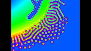 reaction diffusion GrayScott model [upl. by Pevzner]