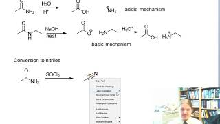 Reactions of Amides [upl. by Ecniuq]