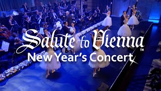 Salute to Vienna New Years Concert 2025 [upl. by Auohc]