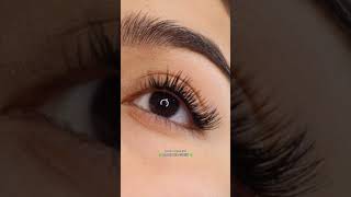 Best Green Color Contacts For Dark Eyes Top Rated Green Contact Lenses 2024 [upl. by Aidua754]