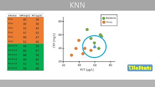 K nearest neighbors KNN  explained  validation [upl. by Donn450]