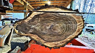 This Log Made me Nervous  Rare Walnut on the Sawmill [upl. by Dirraj]