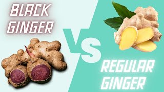 Beyond the Ordinary Black Ginger vs Regular Ginger Health Benefits [upl. by Llewkcor783]