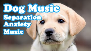 3 HOURS of Deep sleep amp Separation Anxiety Puppy Music💖 Puppy Healing Music🎵Calm puppy🐶 [upl. by Sulihpoeht]