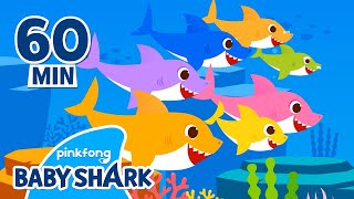 Baby Shark Doo Doo Doo 1 hour  Compilation  More and More  Baby Shark Official [upl. by Frida]