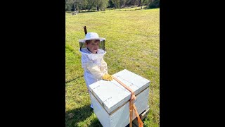 Young Beekeeper at work Just cute 😍 [upl. by Shantha]