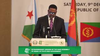 HE Dr Workneh Gebeyehu at the 41st ExtraOrdinary Summit of IGAD Heads of State and Government [upl. by Grunenwald]