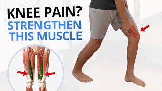 4 Quadriceps VMO Strengthening Exercises for Painful Knees [upl. by Adnale]