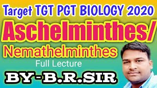 Phylum Aschelminthes Nemathelminthes  Nematode  UP TGT PGT BIOLOGY  Class nematode  B R Sir [upl. by Ivey]