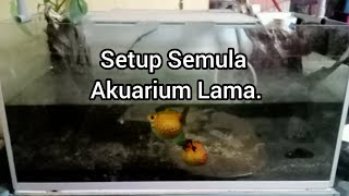 SELAMAT TINGGAL Goldfish planted tank 😔 [upl. by Manheim]