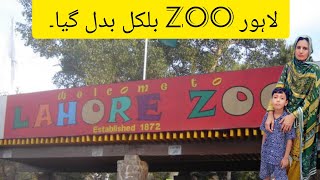 Enjoy weekend  Lahore Zoo  renovated Lahore Zoo  Wildlife Park In Lahore Pakistan  QIBTIA Fatima [upl. by Acirea851]