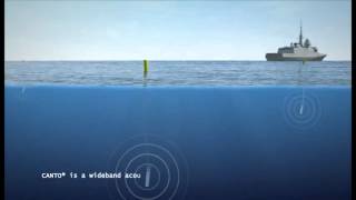 CONTRALTO®V Torpedo Countermeasures for Surface Vessels  DCNS [upl. by Borszcz]