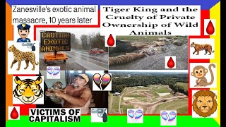 TRUE CRIME CASE PURE EVIL The Zanesville Animal Zoo Massacre 24 Hours Of TOTAL Chaos DEEPDIVE [upl. by Fauch560]