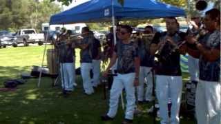 Banda Viento Sinaloense Mix de Cumbias con Acordion [upl. by Enayr203]