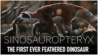 Sinosauropteryx The Tiny Feathered Predator  Dinosaur Documentary [upl. by Rephotsirhc]