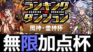 【風神雷神杯】無限加点で21万点安定！ランダン王冠狙いのコツを解説します【パズドラ】 [upl. by Seyler608]