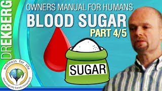 Blood Sugar Explained Pt5 45 User Manual For Humans [upl. by Thorne]