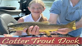 July 17 2024 Arkansas Trout Fishing Report [upl. by Wyler]