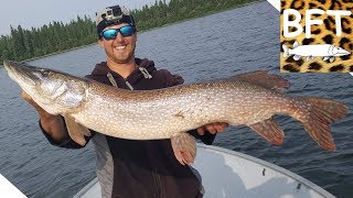 Big Edmund Lake Northern Pike [upl. by Llennhoj247]