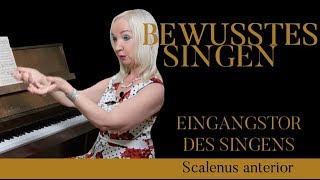 Scalenus anterior DAS EINGANGSTOR DES SINGENS – Supraleitung Methode BEWUSSTES SINGEN Teil 11 [upl. by Golda]