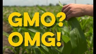 Is GMO Safe [upl. by Sremmus222]